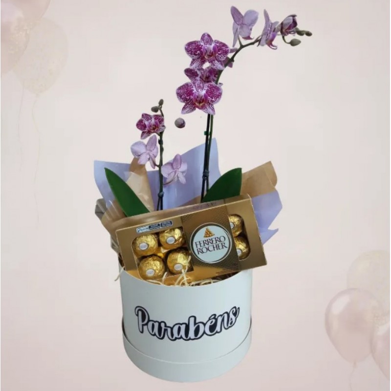 Mini Orquídea 2 Hastes Pote 9 - Cor Variada + Chocolate - Parabéns